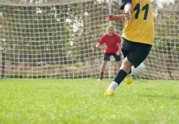 年澳门网球,公开赛职业,赛季末战,k1体育平台,k1体育官方网站,k1体育登录入口,k1体育app下载