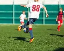 舍得酒否认,与杨笠联手,曾冠名节目,k1体育平台,k1体育官方网站,k1体育登录入口,k1体育app下载