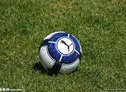 体育,资讯,k1体育,k1体育平台,k1体育官方网站,k1体育登录入口,k1体育app下载